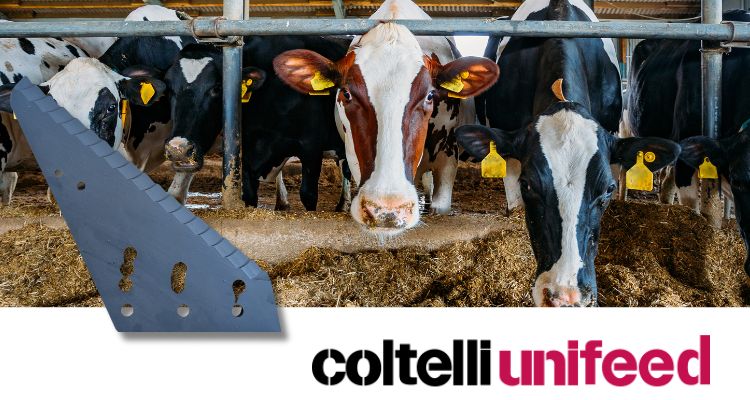 Un coltello non vale l'altro